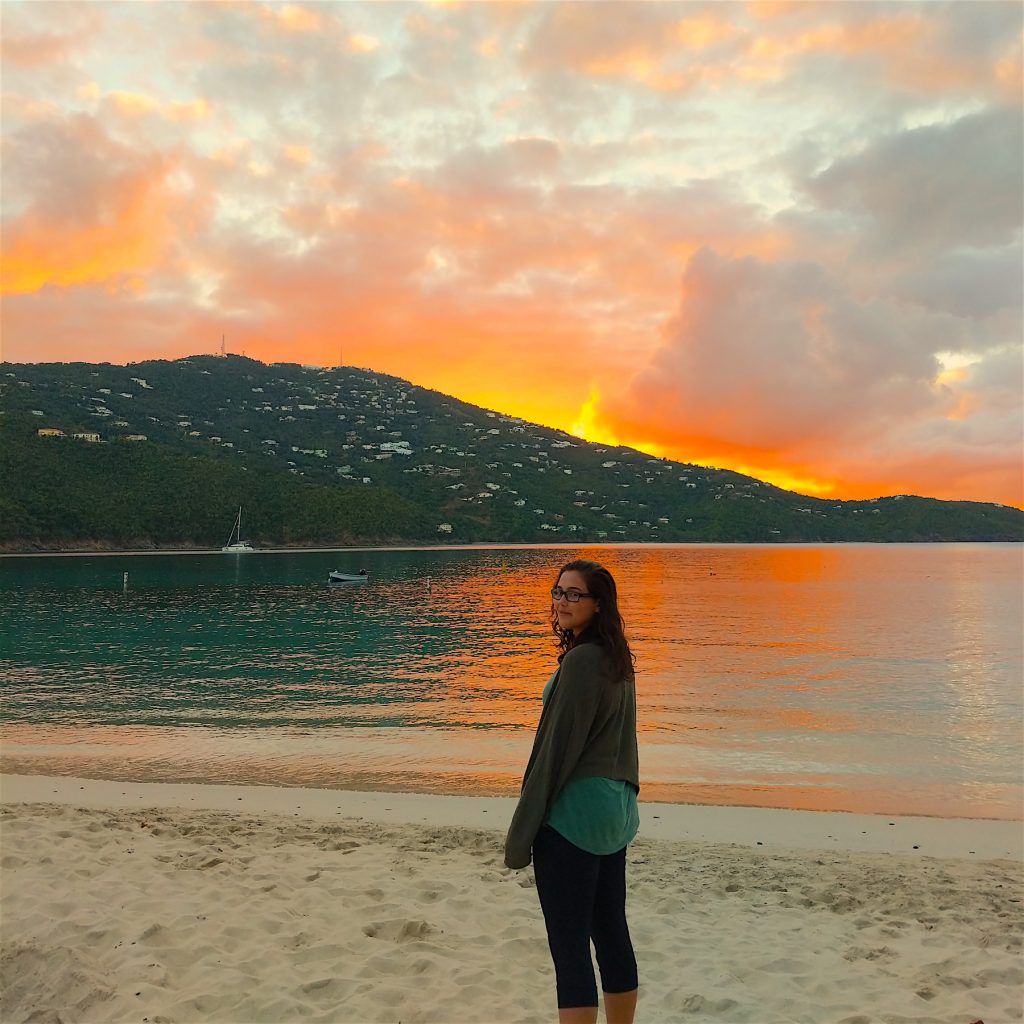 A woman standing in front of a golden sunset on the beach