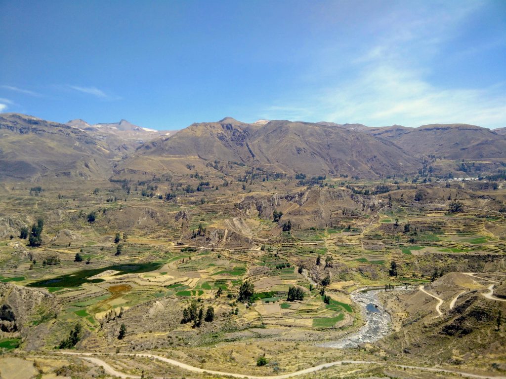 The Colca canyon near Arequipa